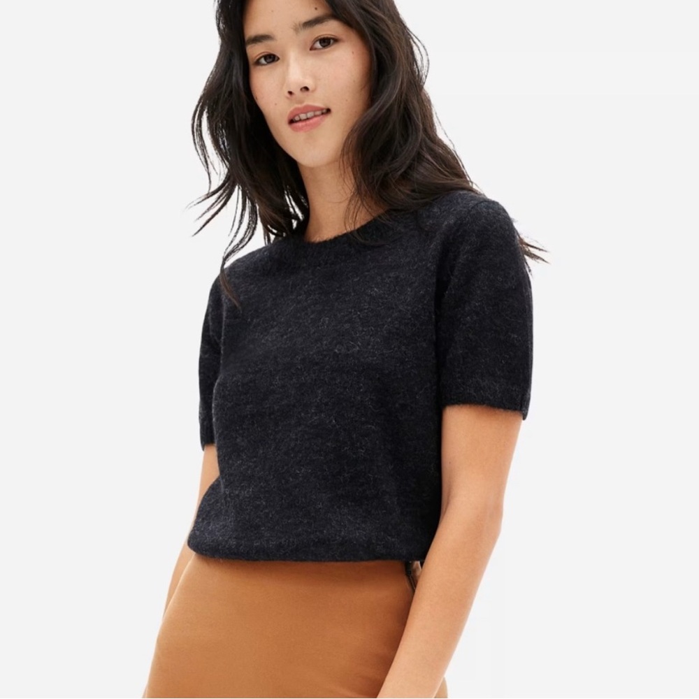 Everlane Alpaca Short Sleeve Sweater Tee XXS